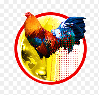 Sabung Ayam Online Terpercaya 2026: Pasaran Lengkap, Streaming HD